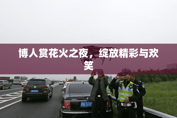 博人赏花火之夜，绽放精彩与欢笑