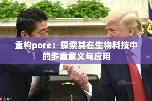 重构pore：探索其在生物科技中的多重意义与应用