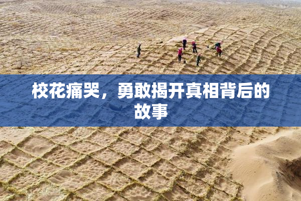 校花痛哭，勇敢揭开真相背后的故事