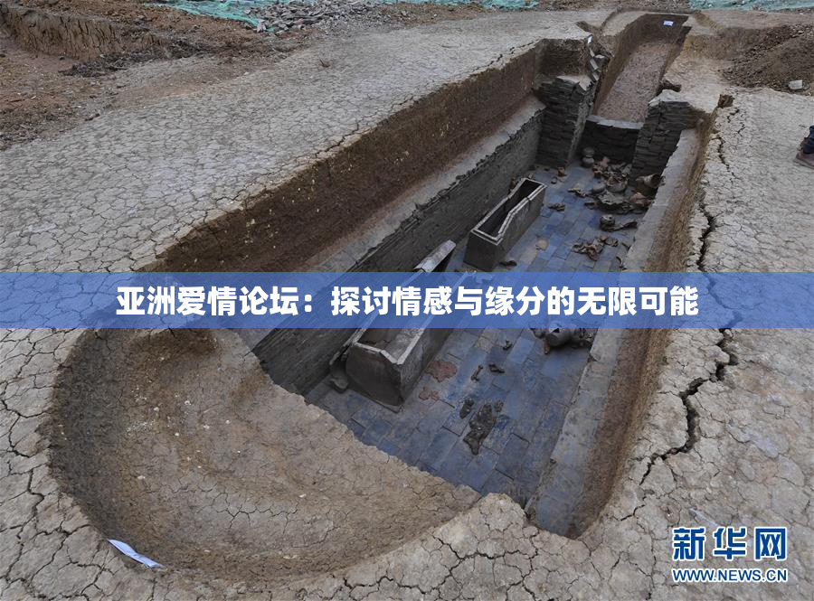 亚洲爱情论坛：探讨情感与缘分的无限可能