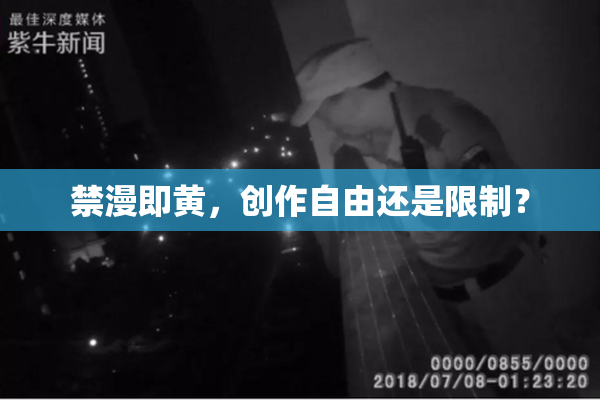 禁漫即黄，创作自由还是限制？