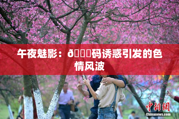 午夜魅影：🈚码诱惑引发的色情风波