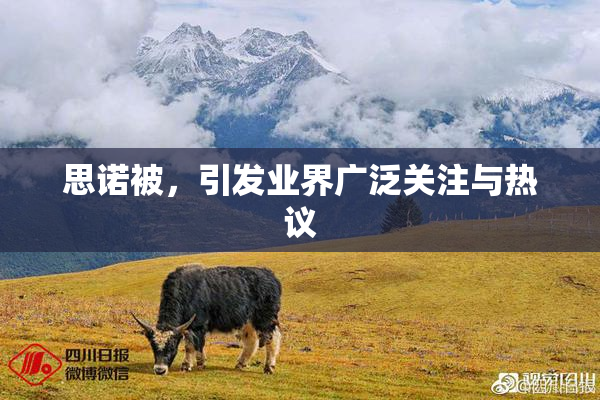 思诺被，引发业界广泛关注与热议