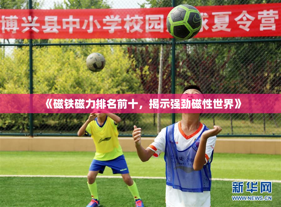 《磁铁磁力排名前十，揭示强劲磁性世界》