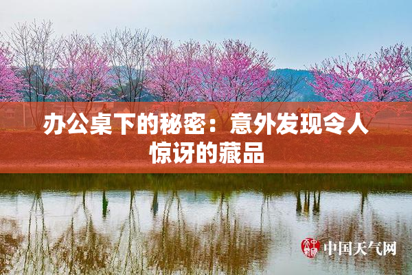 办公桌下的秘密：意外发现令人惊讶的藏品