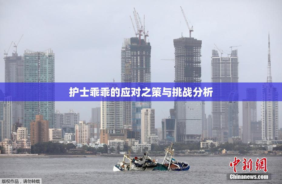 护士乖乖的应对之策与挑战分析