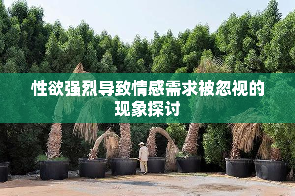 性欲强烈导致情感需求被忽视的现象探讨