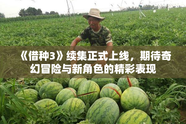 《借种3》续集正式上线，期待奇幻冒险与新角色的精彩表现