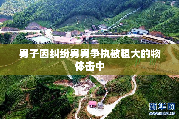男子因纠纷男男争执被粗大的物体击中