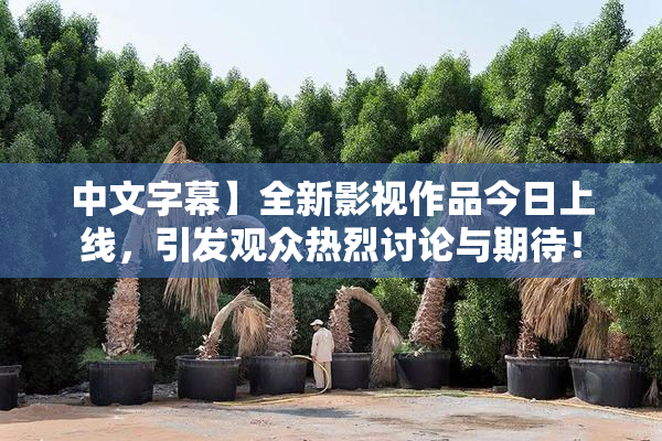 中文字幕】全新影视作品今日上线，引发观众热烈讨论与期待！