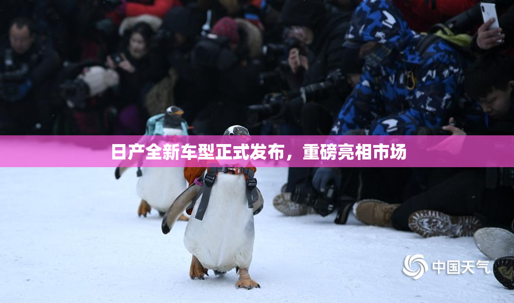 日产全新车型正式发布，重磅亮相市场
