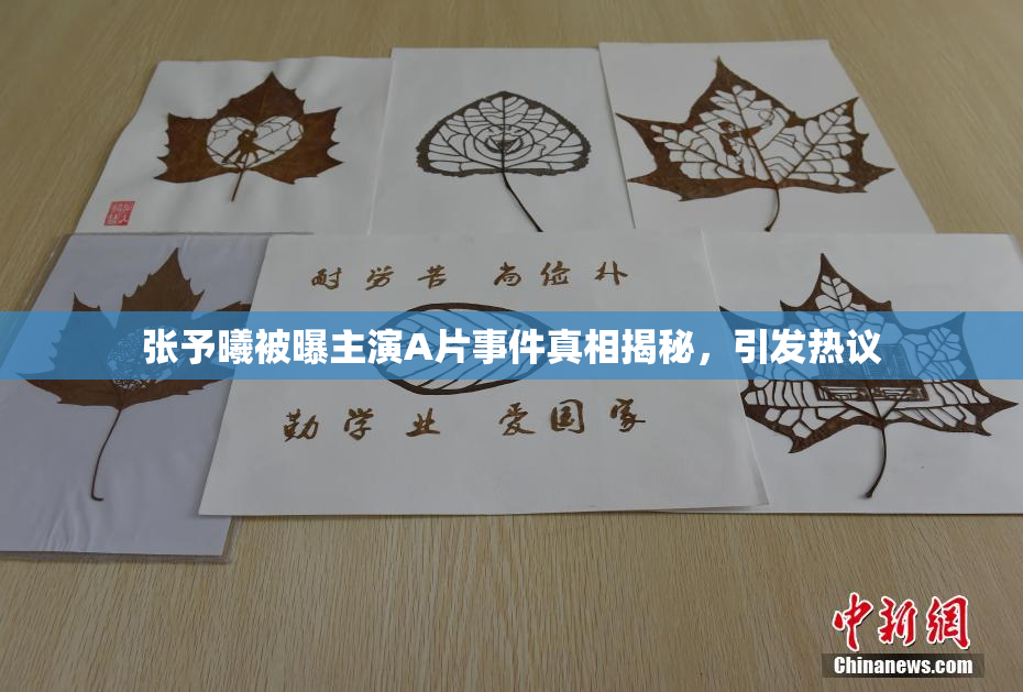 张予曦被曝主演A片事件真相揭秘，引发热议