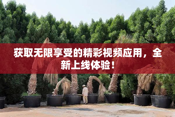 获取无限享受的精彩视频应用，全新上线体验！