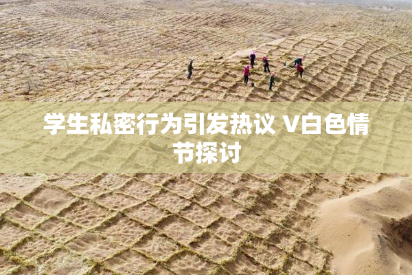 学生私密行为引发热议 V白色情节探讨