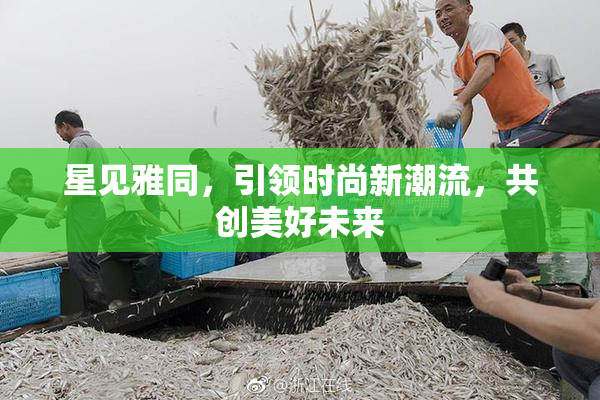 星见雅同，引领时尚新潮流，共创美好未来
