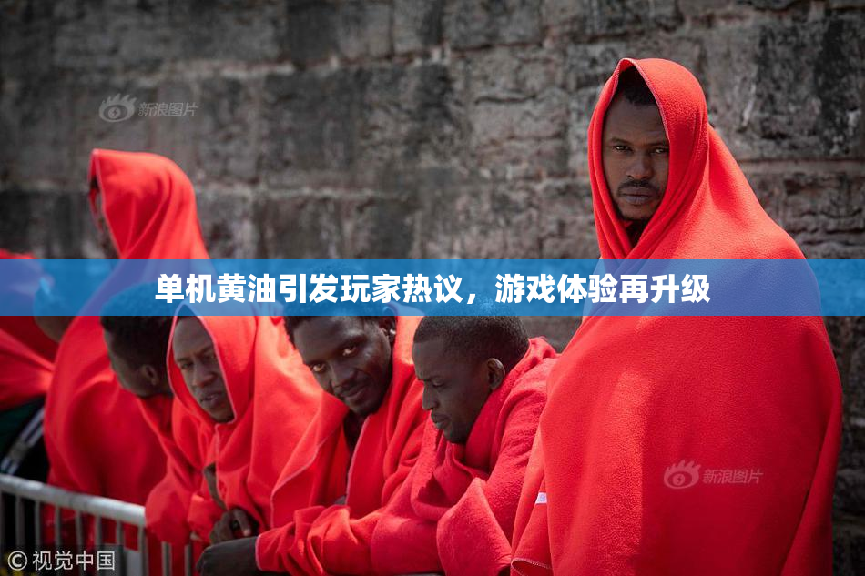 单机黄油引发玩家热议，游戏体验再升级