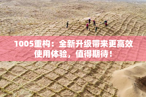 1005重构：全新升级带来更高效使用体验，值得期待！