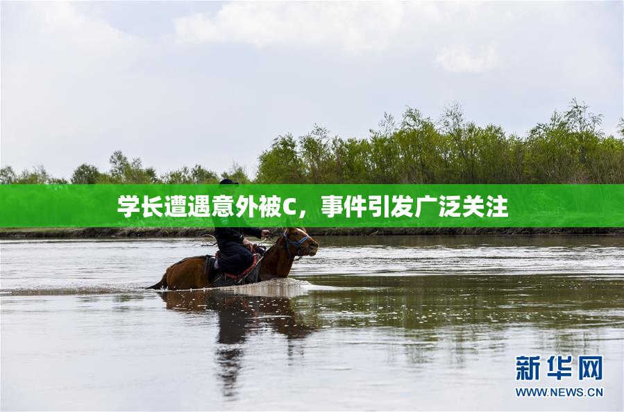 学长遭遇意外被C，事件引发广泛关注