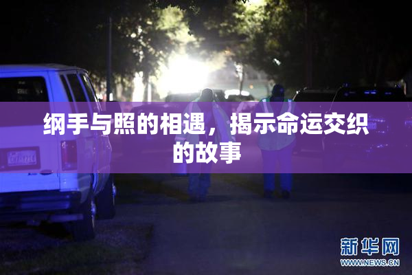 纲手与照的相遇，揭示命运交织的故事