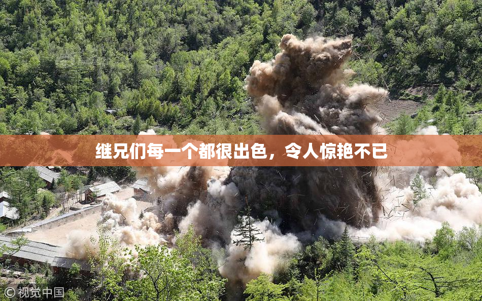 继兄们每一个都很出色，令人惊艳不已