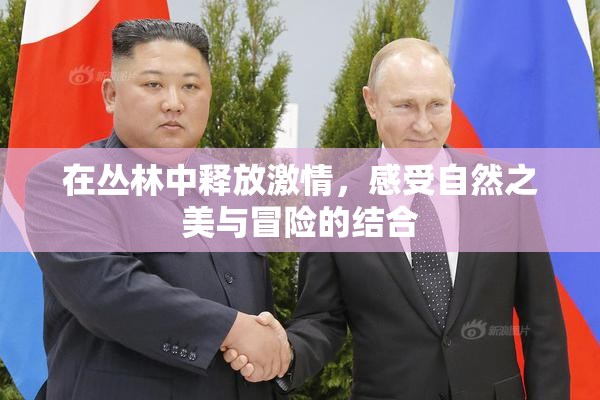在丛林中释放激情，感受自然之美与冒险的结合