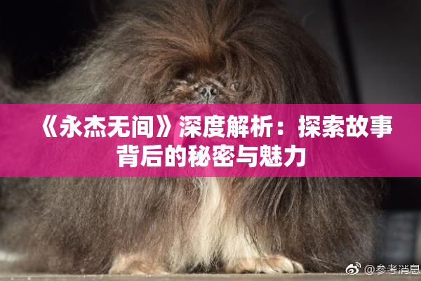 《永杰无间》深度解析：探索故事背后的秘密与魅力