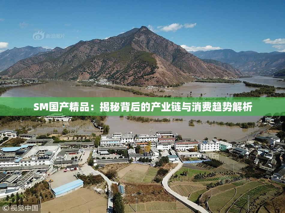SM国产精品：揭秘背后的产业链与消费趋势解析