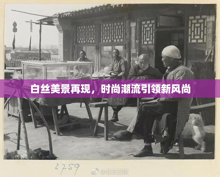 白丝美景再现，时尚潮流引领新风尚