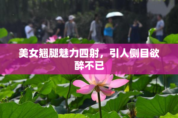 美女翘腿魅力四射，引人侧目欲醉不已