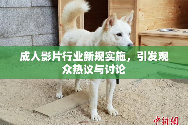 成人影片行业新规实施，引发观众热议与讨论