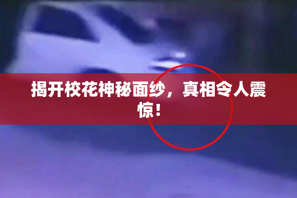 揭开校花神秘面纱，真相令人震惊！