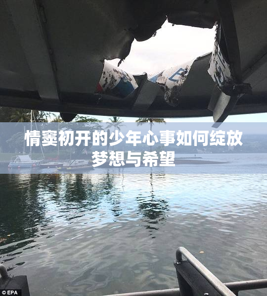 情窦初开的少年心事如何绽放梦想与希望