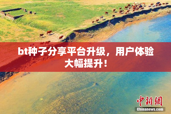 bt种子分享平台升级，用户体验大幅提升！