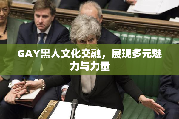 GAY黑人文化交融，展现多元魅力与力量