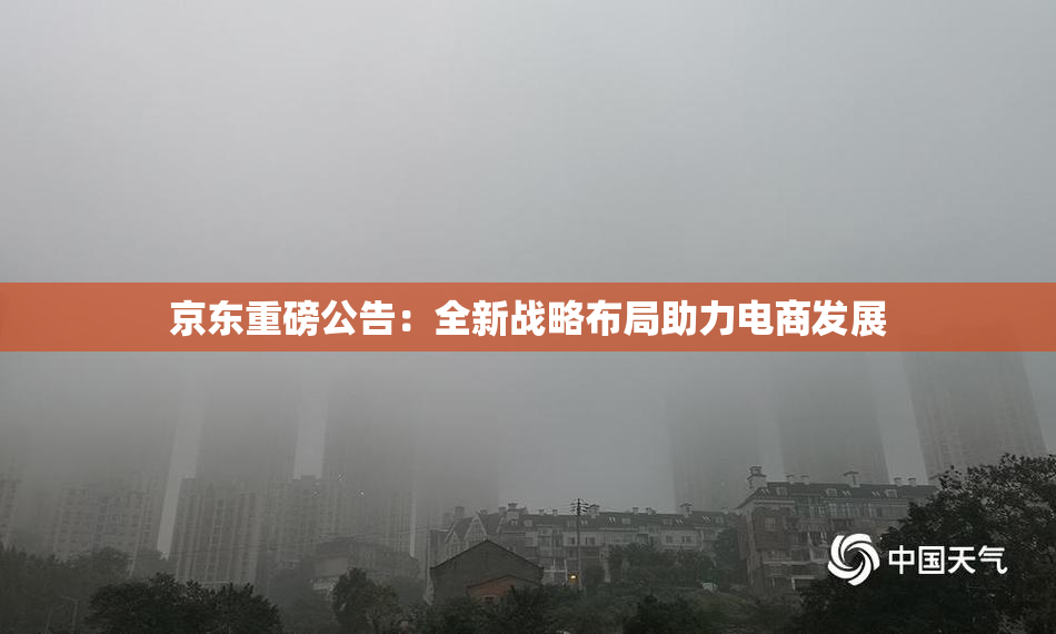 京东重磅公告：全新战略布局助力电商发展