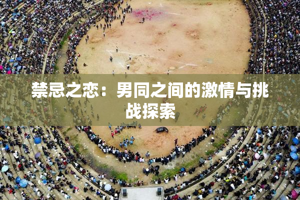禁忌之恋：男同之间的激情与挑战探索