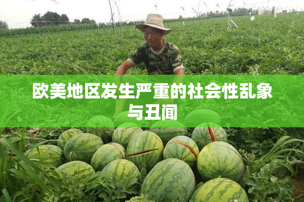 欧美地区发生严重的社会性乱象与丑闻