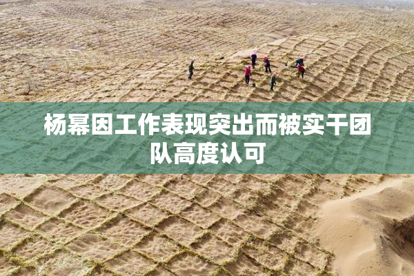 杨幂因工作表现突出而被实干团队高度认可