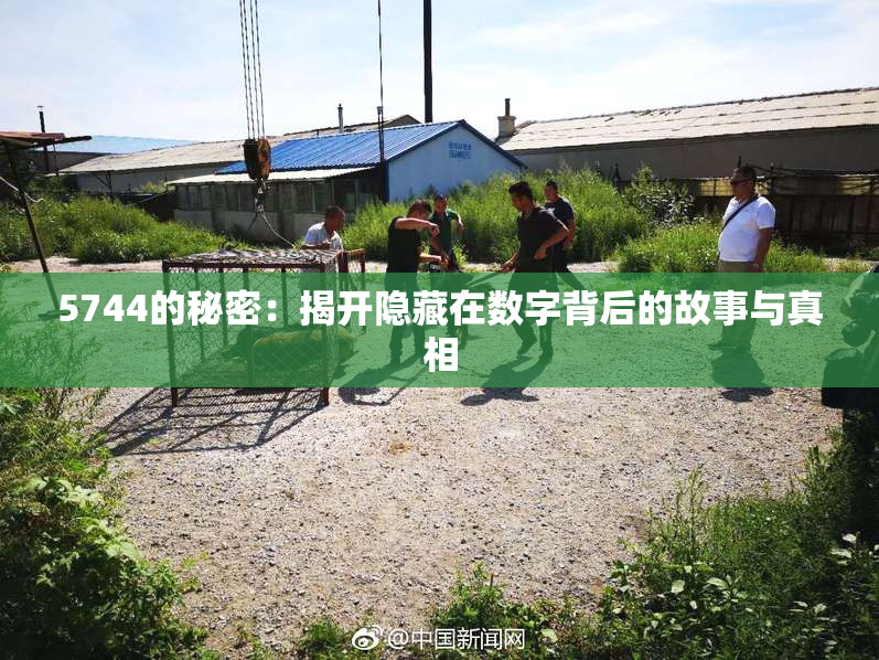 5744的秘密：揭开隐藏在数字背后的故事与真相
