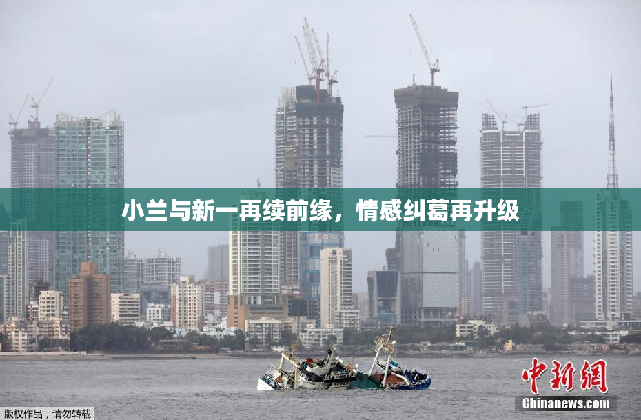 小兰与新一再续前缘，情感纠葛再升级