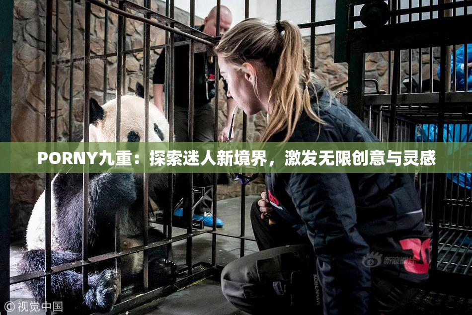 PORNY九重：探索迷人新境界，激发无限创意与灵感