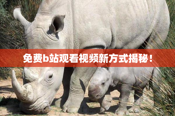 免费b站观看视频新方式揭秘！