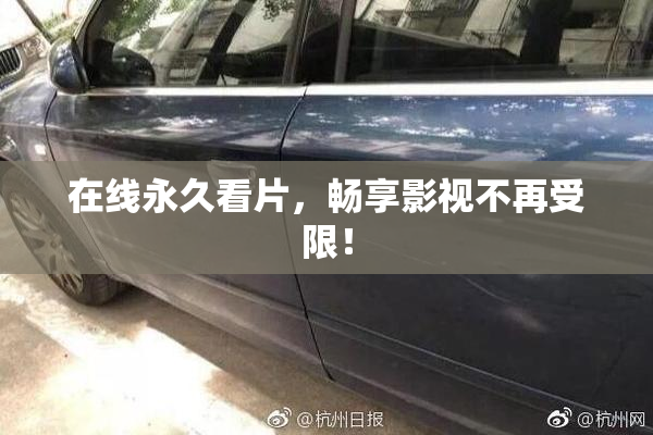 在线永久看片，畅享影视不再受限！