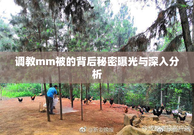 调教mm被的背后秘密曝光与深入分析
