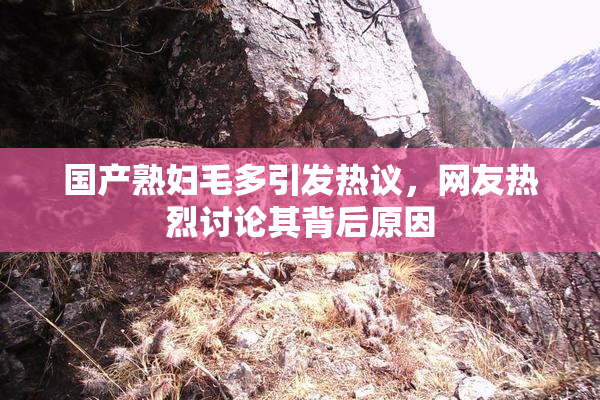 国产熟妇毛多引发热议，网友热烈讨论其背后原因
