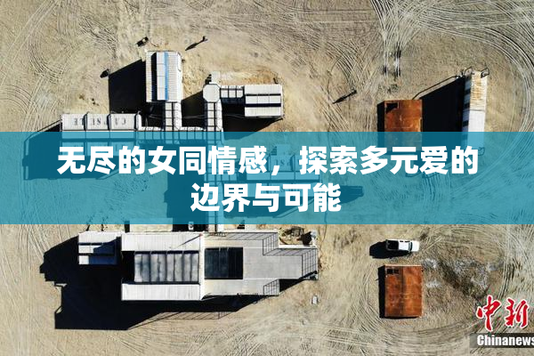 无尽的女同情感，探索多元爱的边界与可能