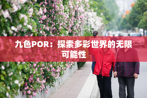 九色POR：探索多彩世界的无限可能性