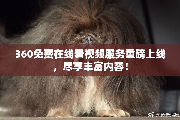 360免费在线看视频服务重磅上线，尽享丰富内容！