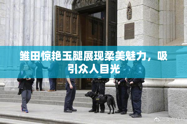 雏田惊艳玉腿展现柔美魅力，吸引众人目光