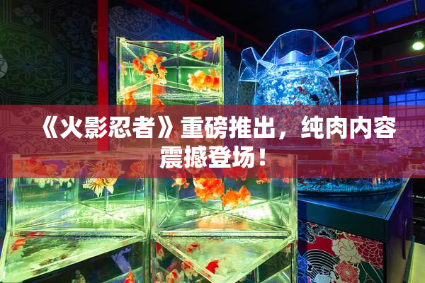 《火影忍者》重磅推出，纯肉内容震撼登场！